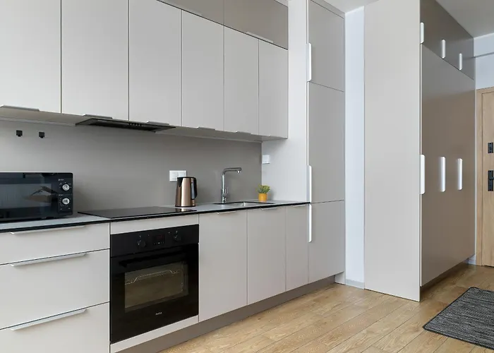 Stylish Air-conditioned On The 25th Floor In By Renters