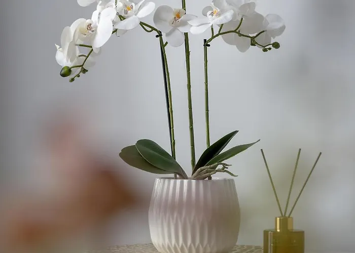 Апартаменты Stylish Air-conditioned On The 25th Floor In By Renters